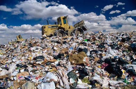 混合型垃圾被肆意倾倒 我们绿色健康生活环境哪儿去了?
